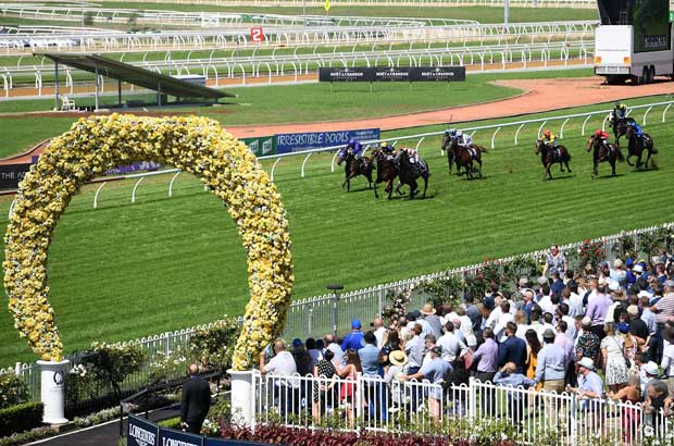 Rosehill Crowd view